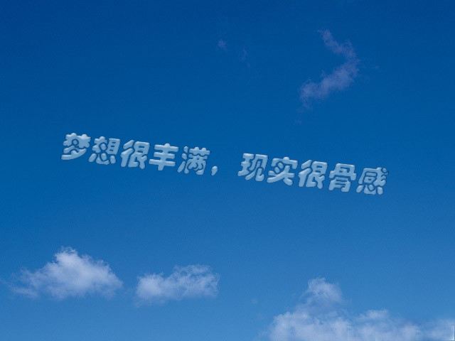 夢(mèng)想和現(xiàn)實(shí)(800字)