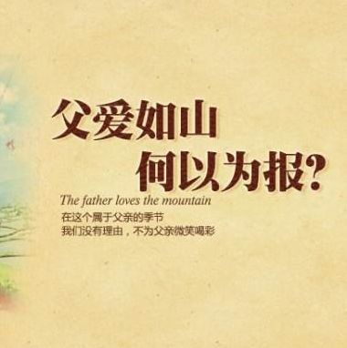 感恩父愛(800字)