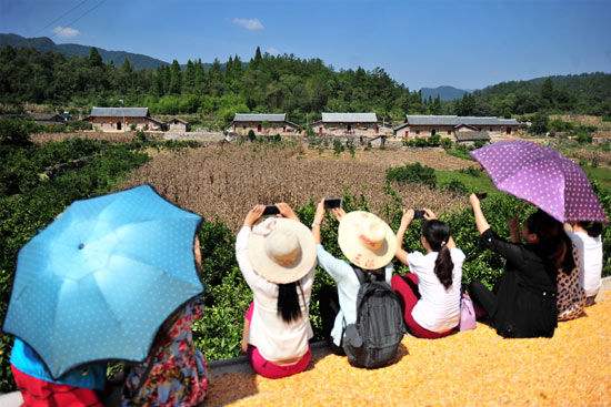 鄉村一日游(600字)
