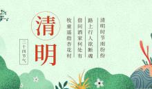 清明的情懷(1100字)